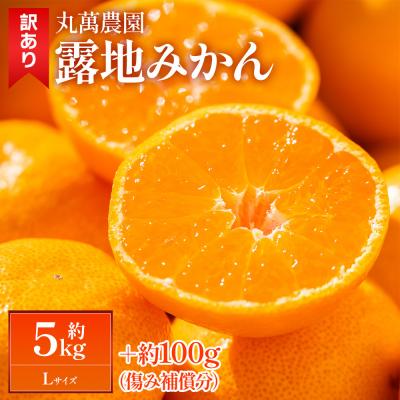 ふるさと納税 香南市 露地みかん(Lサイズ) 5kg 家庭用 丸萬農園 mn-0015
