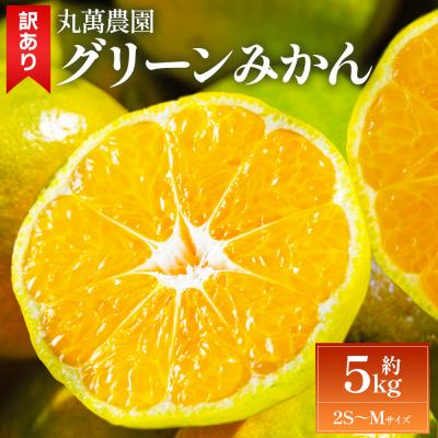 ふるさと納税 香南市 グリーンみかん(2S〜Mサイズ) 5kg 家庭用 丸萬農園 mn-0016