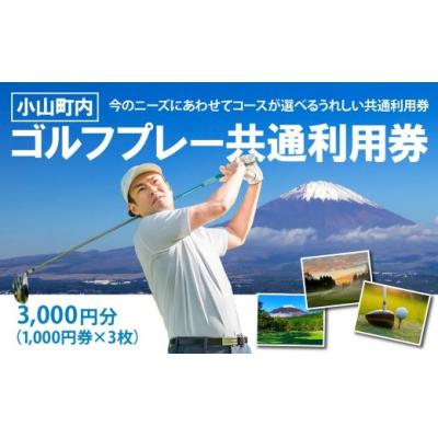 ふるさと納税 小山町 小山町内ゴルフプレー共通利用券 1000円券 × 3枚