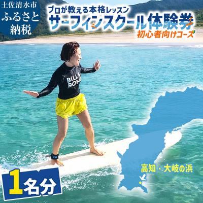 ふるさと納税 土佐清水市 高知・大岐の浜 サーフィン スクール 体験券 1名分(初心者向けコース)[R01593]