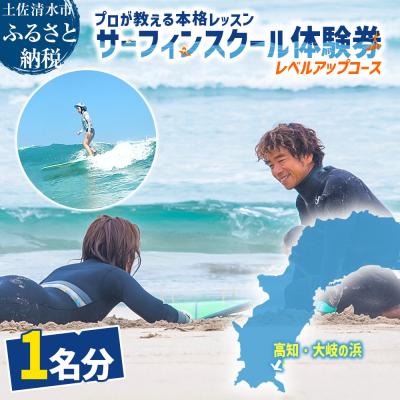 ふるさと納税 土佐清水市 高知・大岐の浜 サーフィン スクール 体験券 1名分(レベルアップコース)[R01594]