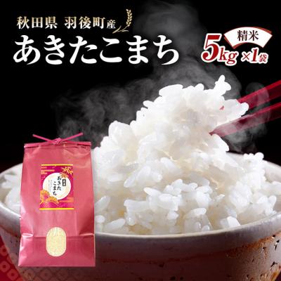 ふるさと納税 羽後町 秋田県羽後町産あきたこまち 精米 5kg×1袋