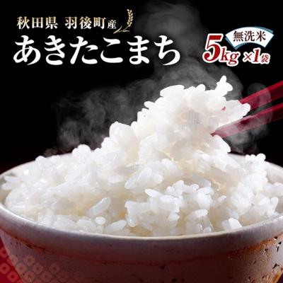 ふるさと納税 羽後町 秋田県羽後町産あきたこまち 無洗米 5kg×1袋