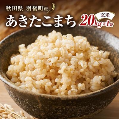 ふるさと納税 羽後町 秋田県羽後町産あきたこまち 玄米 20kg×1袋
