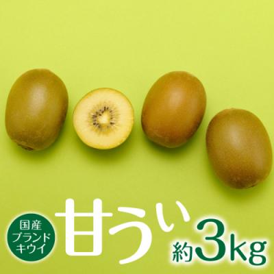 ふるさと納税 新宮町 直送.人気の新ブランドキウイフルーツ(甘うぃ)約3kg/2026年11月配送[甘うぃ]