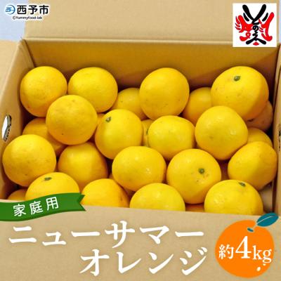ふるさと納税 西予市 <愛媛県明浜産ニューサマーオレンジ(4kg)> 柑橘 特産品 果物 フルーツ 果実 西予市