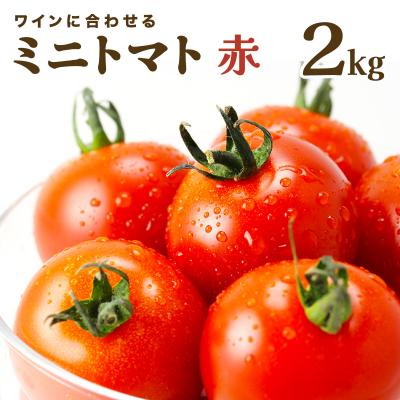 ふるさと納税 岩見沢市 [先行販売][ファーム雫]ワインに合わせるミニトマト赤 2kg[a127-003]