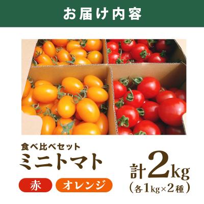 ふるさと納税 岩見沢市 【先行販売】【ファーム雫】食べ比べセット