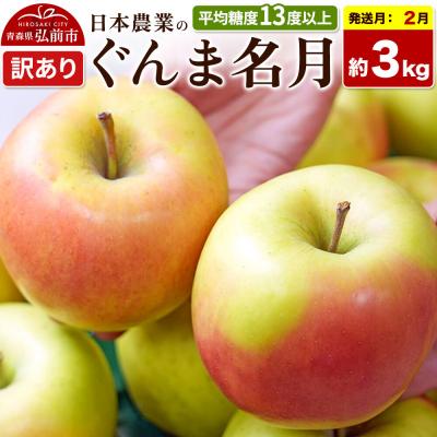 ふるさと納税 弘前市 [27年2月発送]りんご ぐんま名月[訳あり]約3kg|24_nng-090301ai