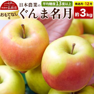 ふるさと納税 弘前市 [26年12月発送]りんご ぐんま名月[おもてなし用]約3kg|24_nng-090301bg