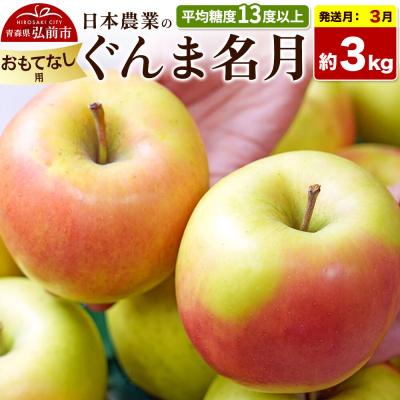ふるさと納税 弘前市 [27年3月発送]りんご ぐんま名月[おもてなし用]約3kg|24_nng-090301bj