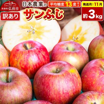 ふるさと納税 弘前市 りんご[26年11月発送]サンふじ[訳あり]約3kg|24_nng-120301af