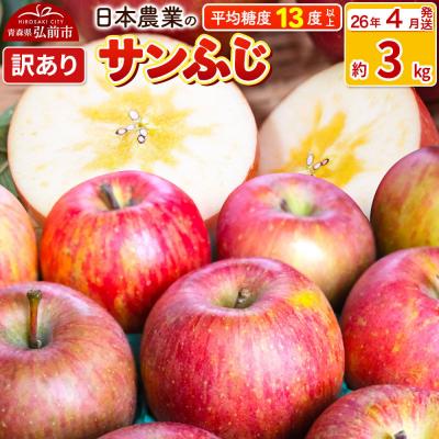 ふるさと納税 弘前市 りんご サンふじ 約3kg 訳あり CA貯蔵|24_nng-120301ak