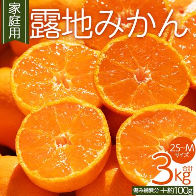 ふるさと納税 香南市 [先行受付]みかん 訳あり 2S-M 3kg 傷み補償分 +100g om-0001