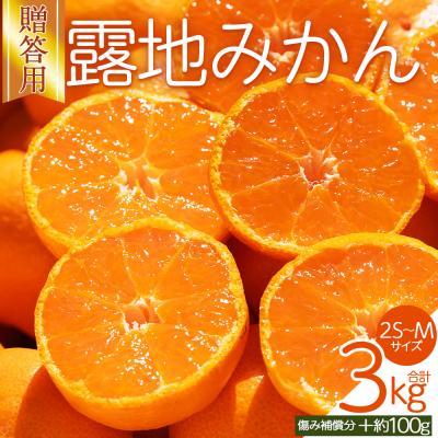 ふるさと納税 香南市 [先行受付]みかん 贈答用 2S-M 3kg 傷み補償分 +100g 人気 小玉 om-0002