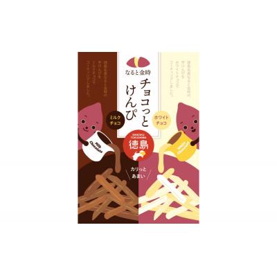 ふるさと納税 徳島市 チョコっとけんぴ 100g×2パック[HH008]