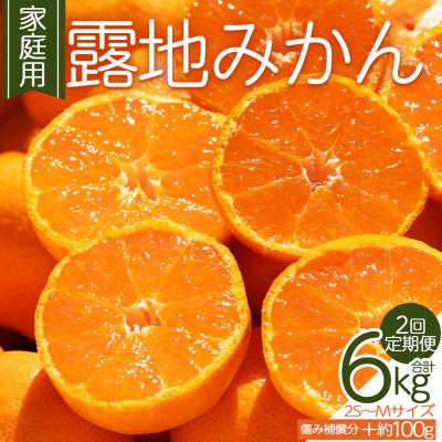 ふるさと納税 香南市 [先行受付]みかん 2回定期便 訳あり 2S-M 3kg 傷み補償分 +100g Wom-0007