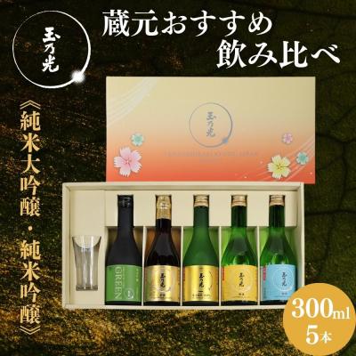 ふるさと納税 京都市 [玉乃光酒造]蔵元おすすめ・はじめての日本酒飲み比べセット 300ml×5本 特製グラス付