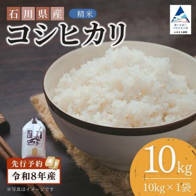 ふるさと納税 小松市 [先行予約]令和8年産 石川県産コシヒカリ 精米 10kg(10kg×1袋) 白米 こしひかり