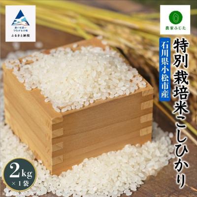 ふるさと納税 小松市 コシヒカリ 2kg 特別栽培米 令和7年産 こしひかり 精米 コメ お米 こめ 小松市 農家ふじた