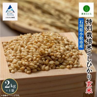 ふるさと納税 小松市 コシヒカリ 2kg 特別栽培米 令和7年産 こしひかり 玄米 コメ お米 こめ 小松市 農家ふじた