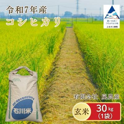 ふるさと納税 小松市 コシヒカリ 玄米 30kg 令和7年産 米 コメ お米 げんまい 石川県産 小松市産 嵐農産