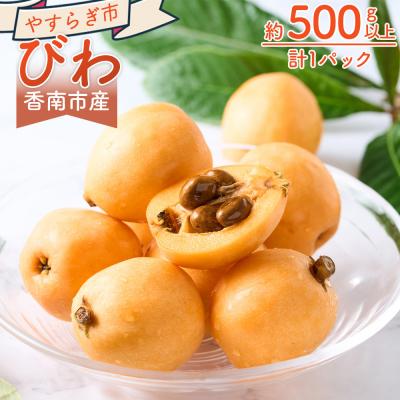 ふるさと納税 香南市 [先行受付]びわ 1パック 約500g以上 10〜15個入 香南市産 yr-0114