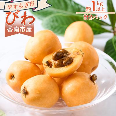 ふるさと納税 香南市 [先行受付]びわ 2パック 約1kg以上 香南市産 yr-0115