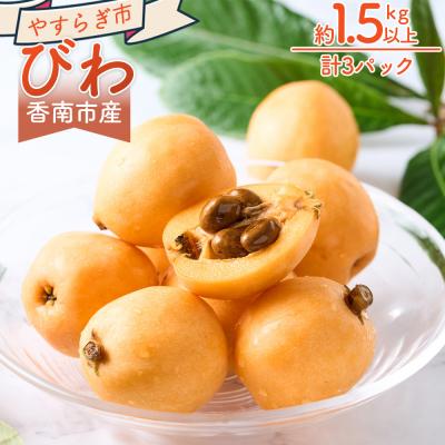 ふるさと納税 香南市 [先行受付]びわ 3パック 約1.5kg以上 香南市産 フルーツ yr-0116
