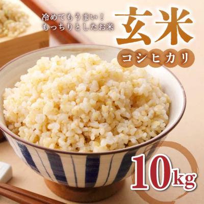 ふるさと納税 東御市 玄米10kg(5kg×2袋)冷めても美味しいコシヒカリ[小田農園] |最短4〜7日程度でお届け