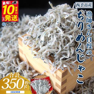 ふるさと納税 西予市 [定期便2ヶ月]<漁師さん自慢のちりめんじゃこ 合計350g>濱田水産 ちりめん えひめ 愛媛 魚