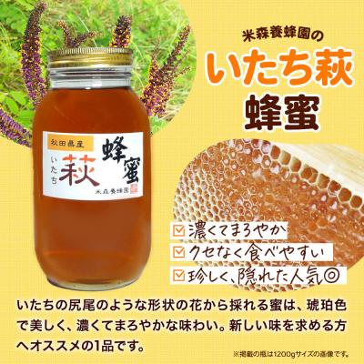 ふるさと納税 八峰町 はちみつ いたち萩蜂蜜 国産 1200g×1本 秋田県産100%|16_ynm-051201の画像