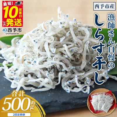ふるさと納税 西予市 [定期便2ヶ月]<漁師さん自慢のしらす干し 500g>濱田水産 えひめ 愛媛 魚