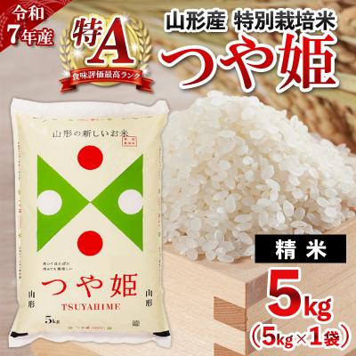 ふるさと納税 山形市 令和7年産 山形産 特別栽培米 つや姫 5kg 精米 FY25-489