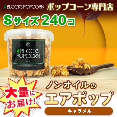 ふるさと納税 春日井市 ポップコーン専門店 大量にお届け ノンオイルのエアポップ Sサイズ 240個 味:キャラメル