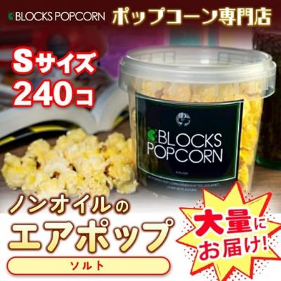 ふるさと納税 春日井市 ポップコーン専門店 大量にお届け ノンオイルのエアポップ Sサイズ 240個 味:ソルト[塩味]