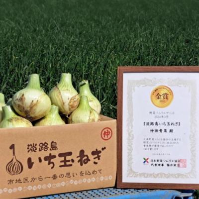 ふるさと納税 南あわじ市 【野菜ソムリエサミット金賞】淡路島新玉ねぎ10kg【仲田青果の淡路島いち玉ねぎ】◆配送3月上旬〜5月の画像