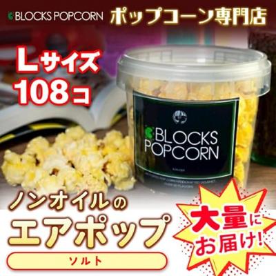 ふるさと納税 春日井市 ポップコーン専門店 大量にお届け ノンオイルのエアポップ Lサイズ 108個 味:ソルト[塩味]