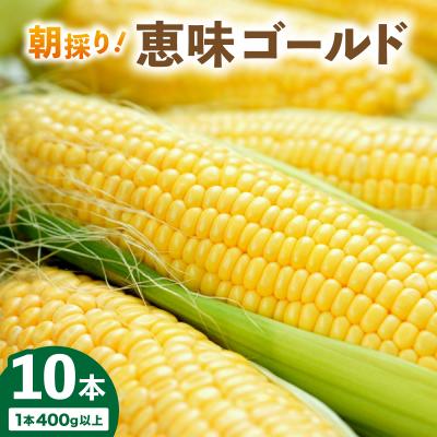 ふるさと納税 岩見沢市 <先行予約>朝取りスイートコーン「恵味ゴールド」10本入り[a167-001]