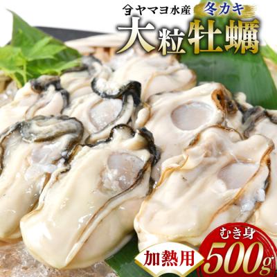 ふるさと納税 気仙沼市 [期間限定発送] ヤマヨ水産の牡蠣 加熱用 500g [1月前半〜出荷] 