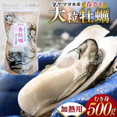 ふるさと納税 気仙沼市 [期間限定発送] ヤマヨ水産の牡蠣 加熱用 500g [5月前半〜出荷] 