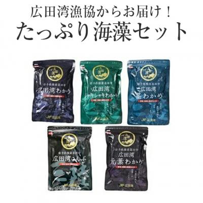 ふるさと納税 陸前高田市 海藻5種食べ比べセット 各300g×1袋 塩蔵 わかめ 茎わかめ 昆布 葉元 料理