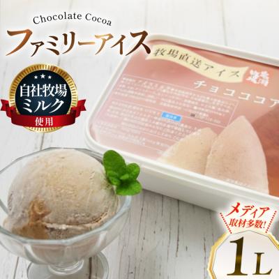 ふるさと納税 砂川市 テレビで紹介! アイス ジェラート チョコココア 1L ファミリーサイズ 