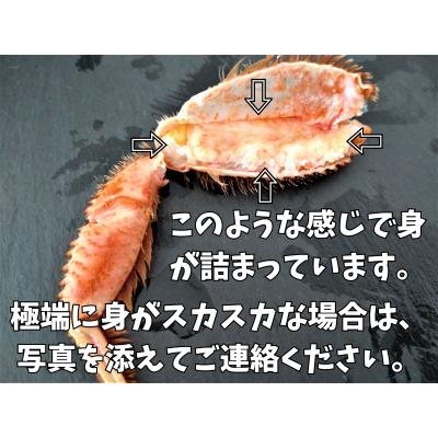 ふるさと納税 広尾町 ボイル毛ガニ　350g　1尾(茹で冷凍)(0102)