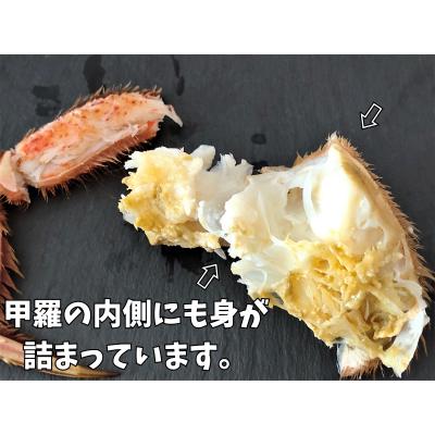 ふるさと納税 広尾町 ボイル毛ガニ　350g　1尾(茹で冷凍)(0102)