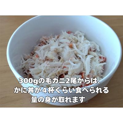 ふるさと納税 広尾町 ボイル毛ガニ　350g　1尾(茹で冷凍)(0102)