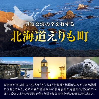 ふるさと納税 えりも町 秋鮭切り身(1kg)er024【er024-007】_1
