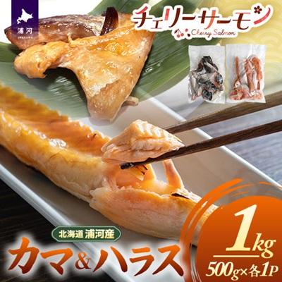 ふるさと納税 浦河町 北海道日高産「チェリーサーモン」カマ&amp;ハラス(各500g)セット[01-1542]