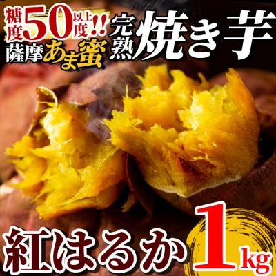 ふるさと納税 霧島市 薩摩あま蜜完熟焼き芋<紅はるか>1kg![フレッシュジャパン鹿児島]A-180-A