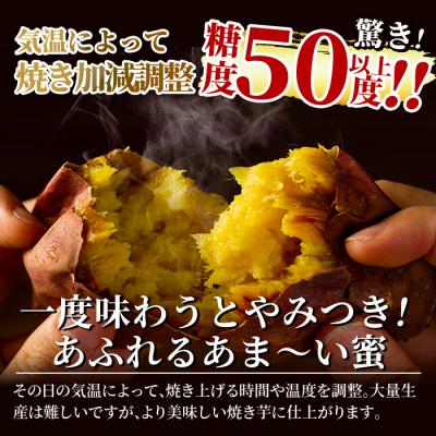 ふるさと納税 霧島市 薩摩あま蜜完熟焼き芋<紅はるか>1kg!【フレッシュジャパン鹿児島】A-180-A |  | 01